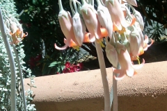 img-20130503-00110