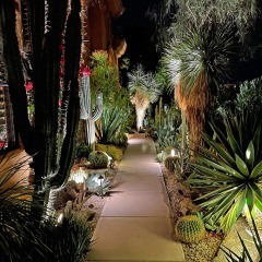 IMG_0541-1
