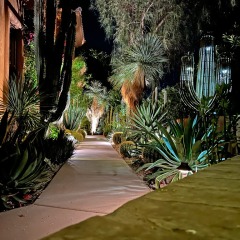 IMG_1703-1