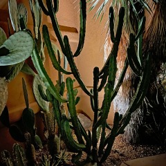 IMG_5680-1